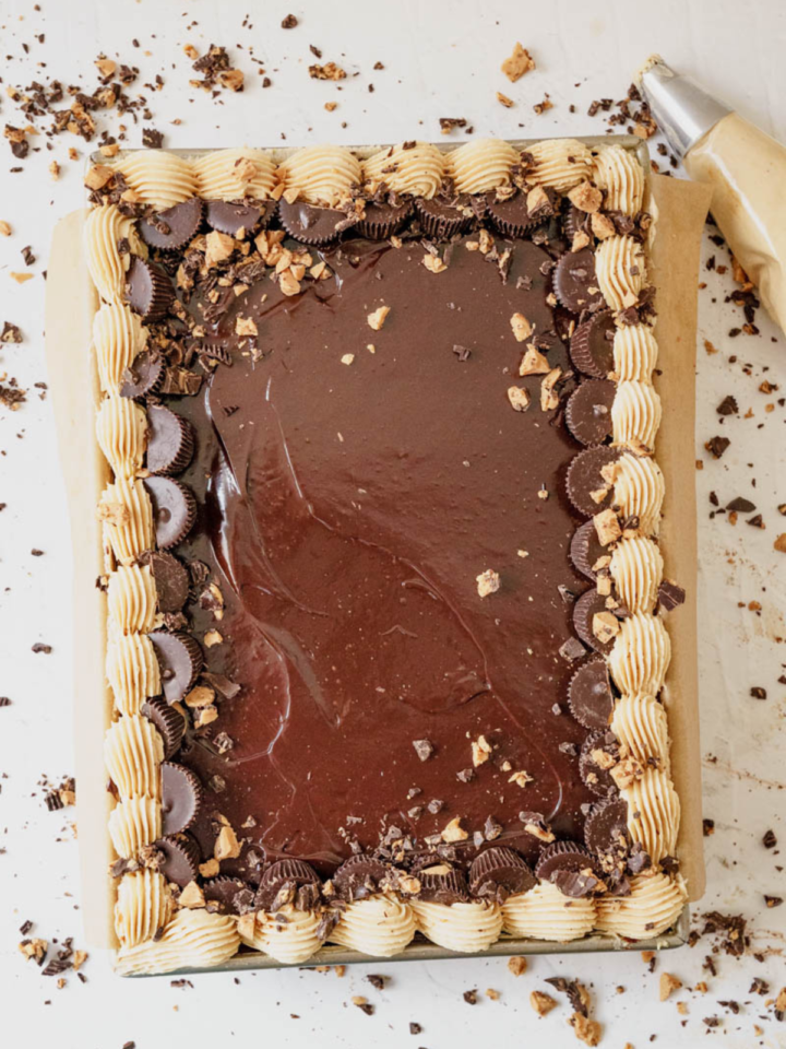 Easy Chocolate Peanut Butter Sheet Cake Recipe - Cake Babe