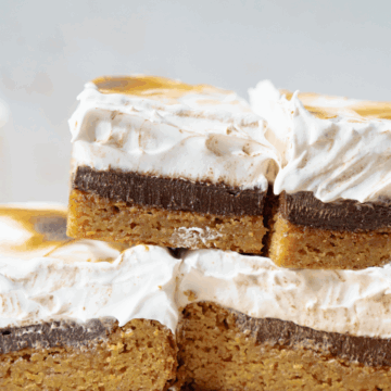 s'mores blondies