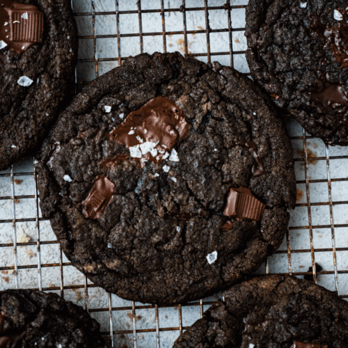 nyc double chocolate cookie