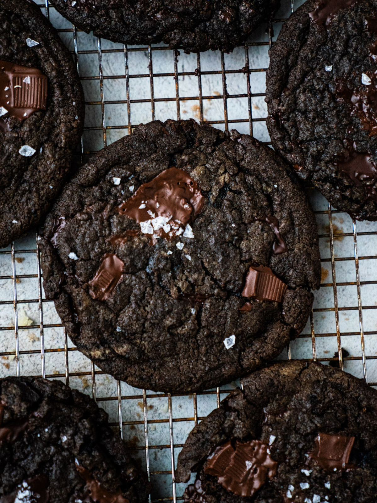 nyc double chocolate cookie